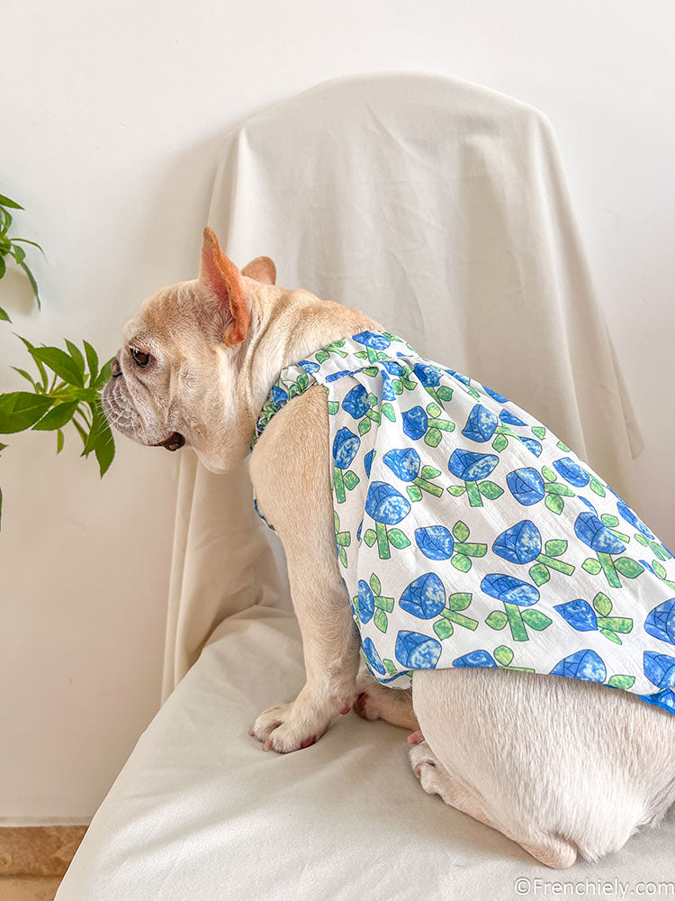 Dog blue Tulips dress for small medium dogs by frenchiely