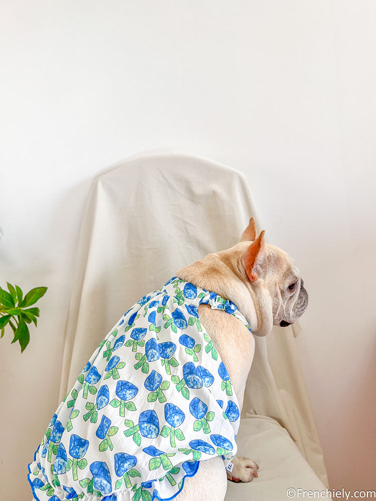 Dog blue Tulips dress for small medium dogs by frenchiely