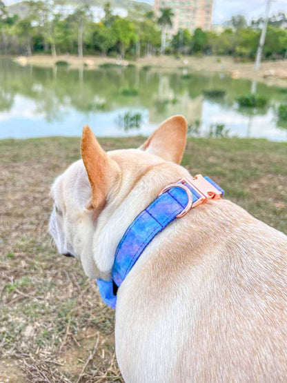 Dog Collar- The Universe - Frenchiely