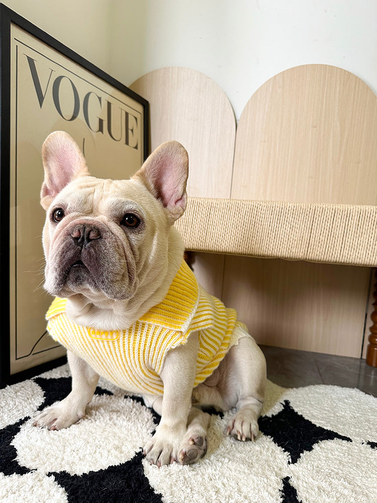 Lapel Sweater