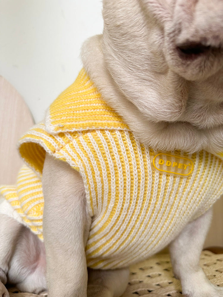 Lapel Sweater