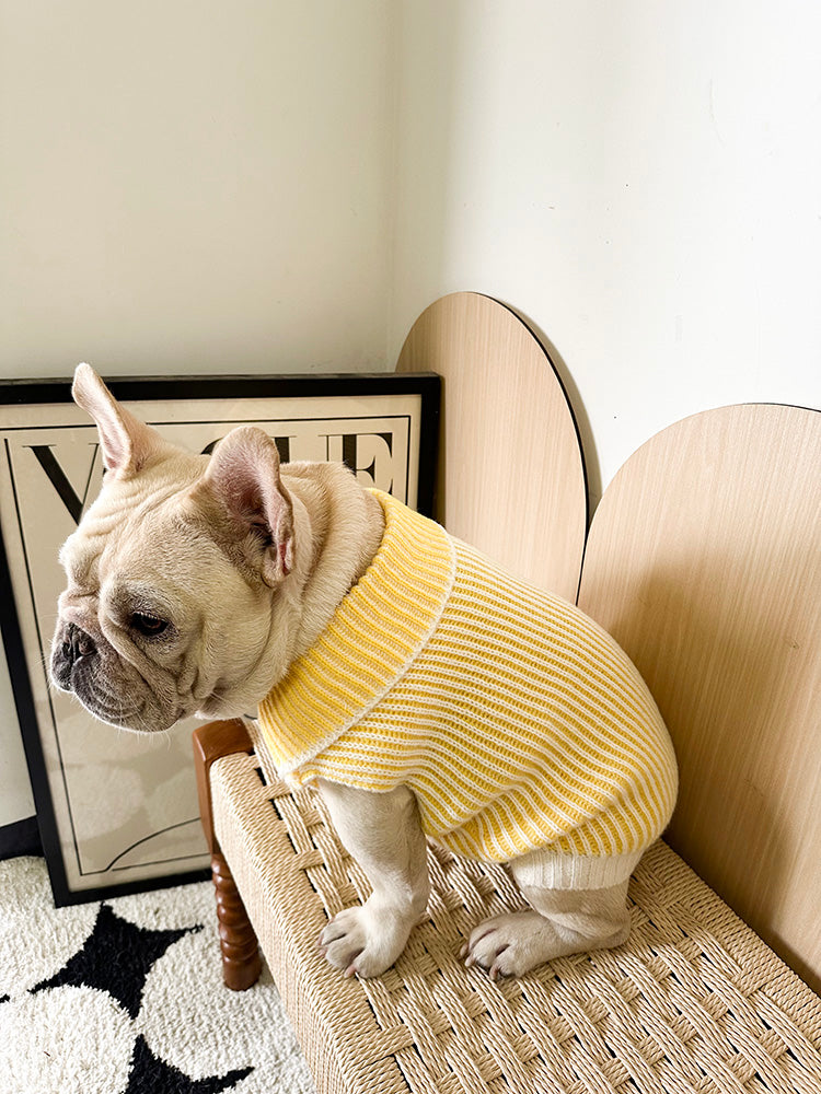Lapel Sweater