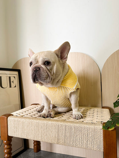 Lapel Sweater