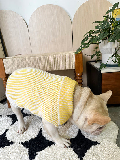 Lapel Sweater