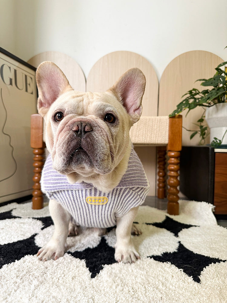 Lapel Sweater