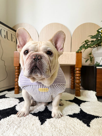 Lapel Sweater