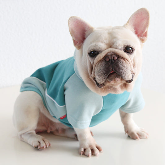 Frenchie Warm Hoodie dogwarmhoodieformediumdogsbyFrenchiely_11