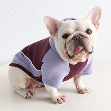 Frenchie Warm Hoodie dogwarmhoodieformediumdogsbyFrenchiely_2