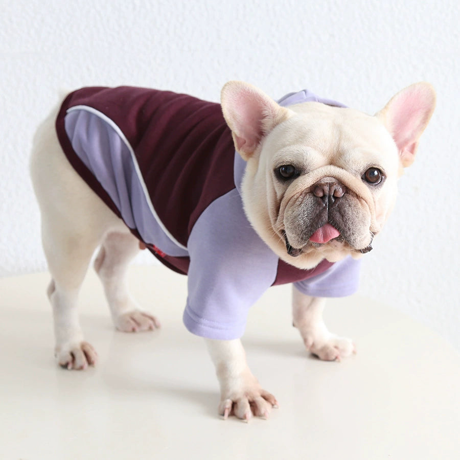 Frenchie Warm Hoodie dogwarmhoodieformediumdogsbyFrenchiely_8