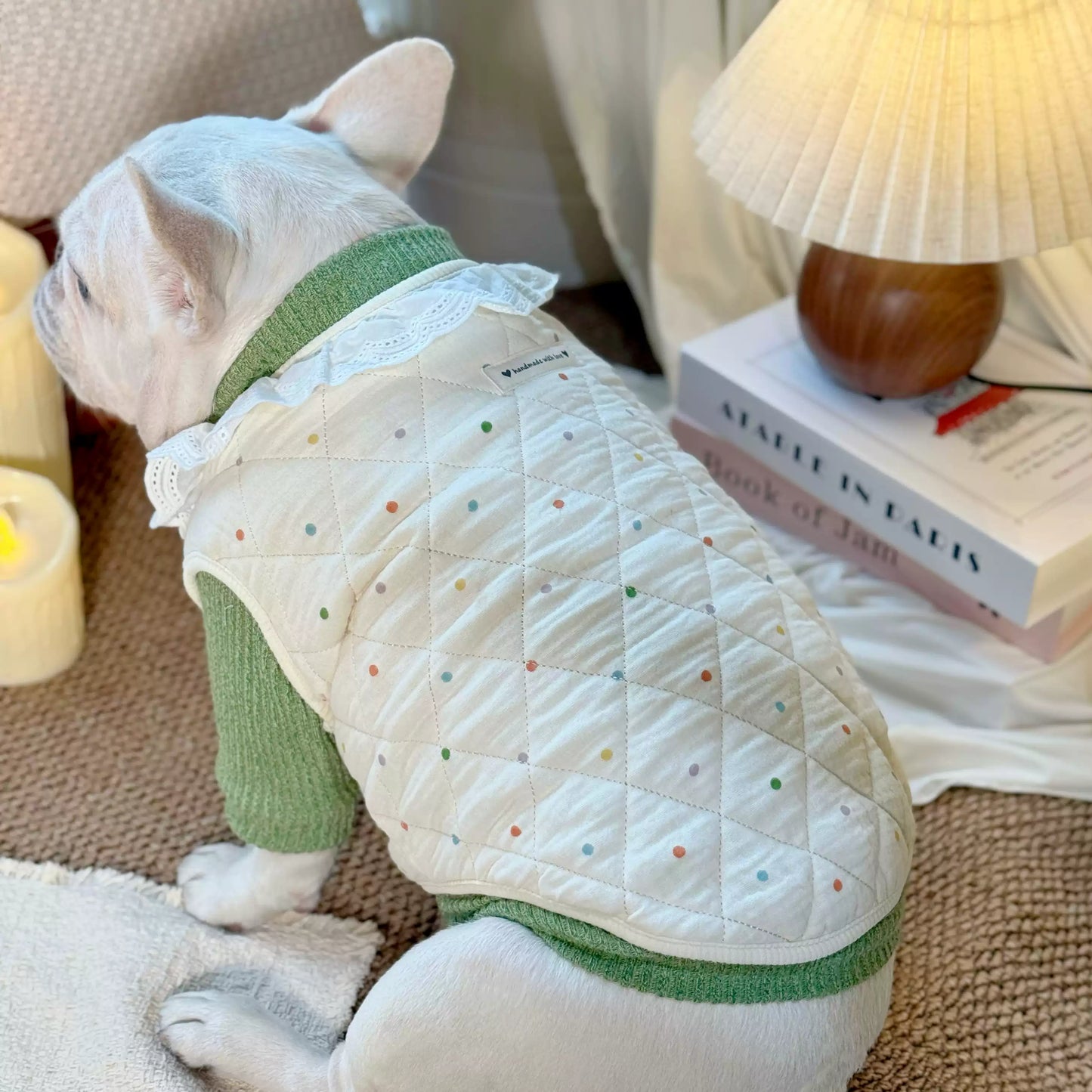 Jacket Vest with Lace Dots dogwarmjacketwithlacecollarforsmallmediumdogsbyFrenchiely_1