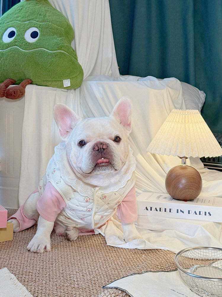 Jacket Vest with Lace dogwarmjacketwithlacecollarforsmallmediumdogsbyFrenchiely_8