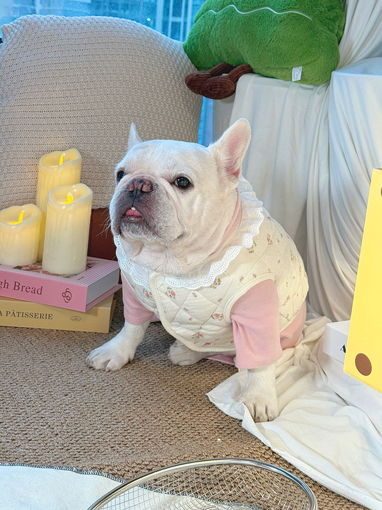 Jacket Vest with Lace dogwarmjacketwithlacecollarforsmallmediumdogsbyFrenchiely_9