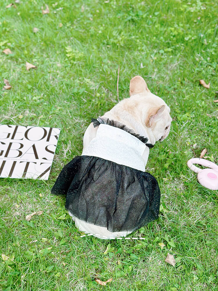 dog shiny tutu dress for small medium dogs by Frenchiely