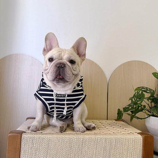 Dog Black Stripe Hooded Shirt for Medium Dog Breeds by Frenchiely