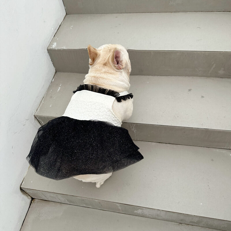 Dog white and black channel elegant dress for small medium dogs by Frenchiely