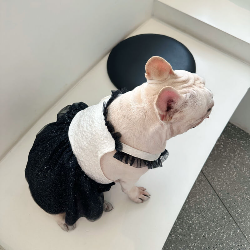 Dog white and black channel elegant dress for small medium dogs by Frenchiely