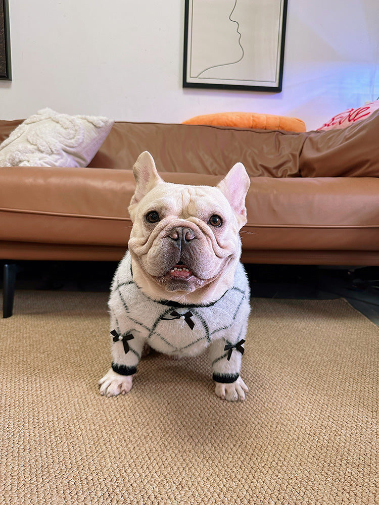 Dog Bowtie White Black Sweater - Frenchiely