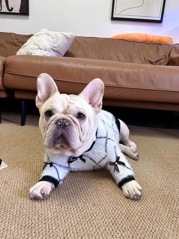 Dog Bowtie White Black Sweater - Frenchiely