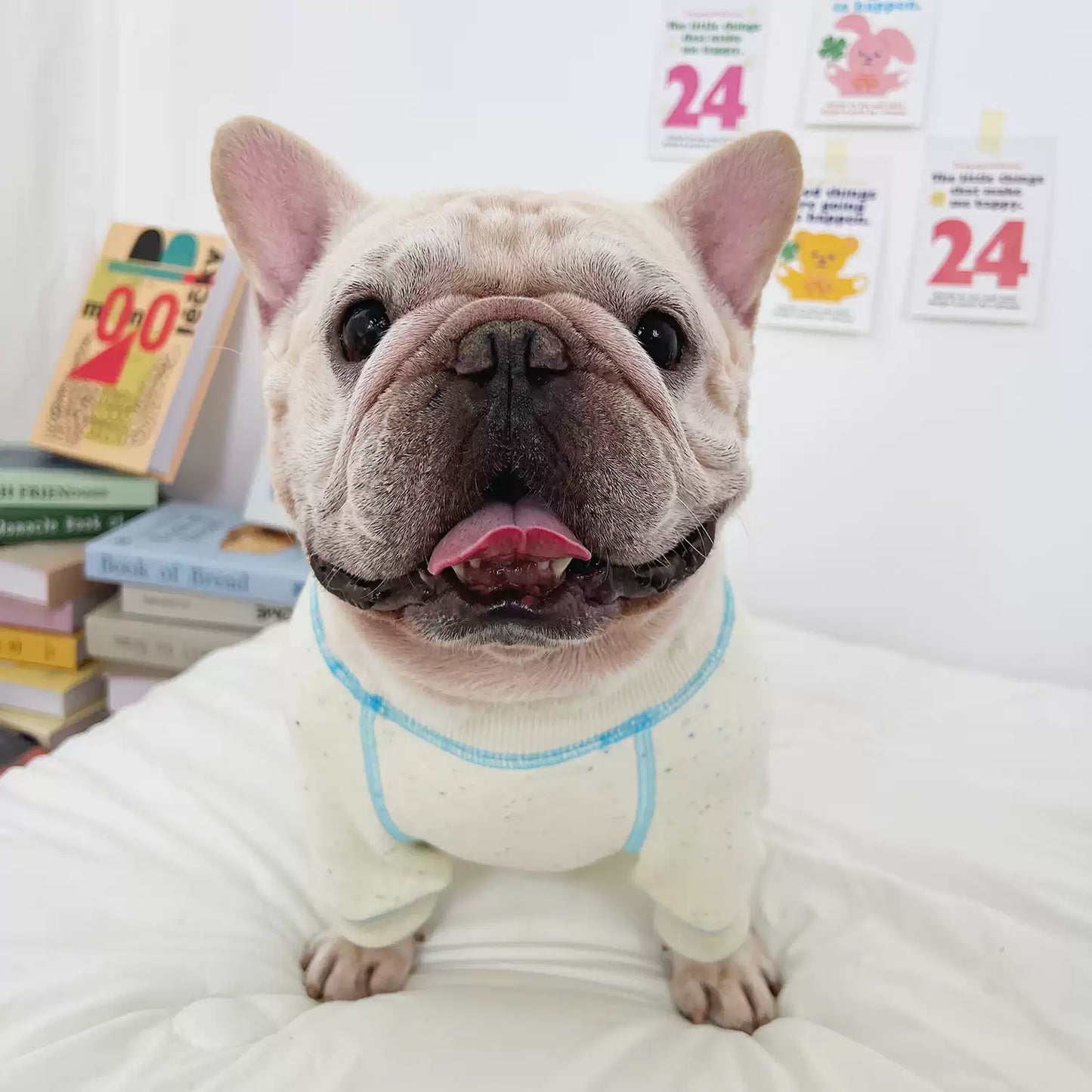 Warm 'Cookie Family' Sweatshirt dogwhitecookieshirt_6