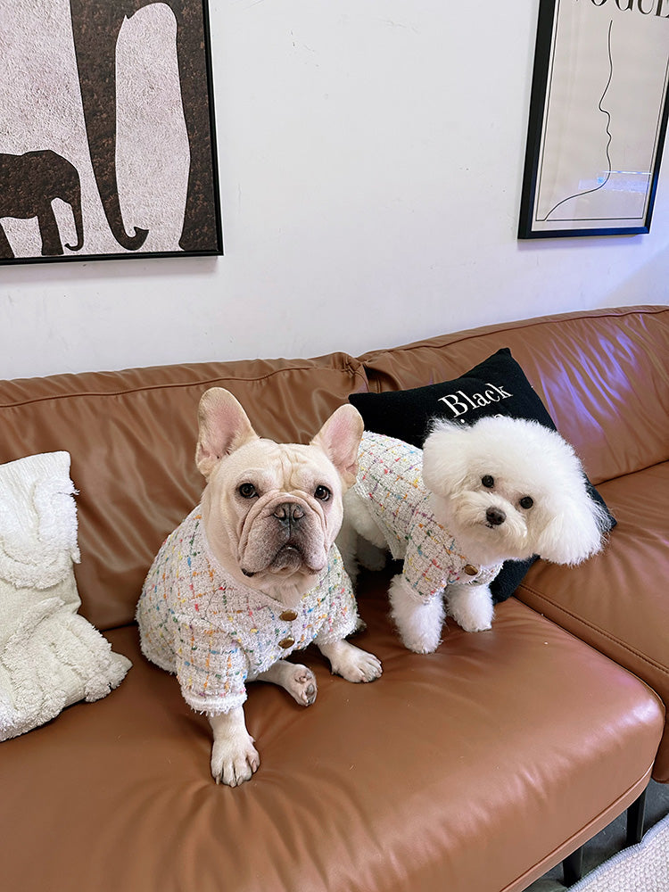 Dog White Plaid Luxury Coat for small medium dogs by Frenchiely