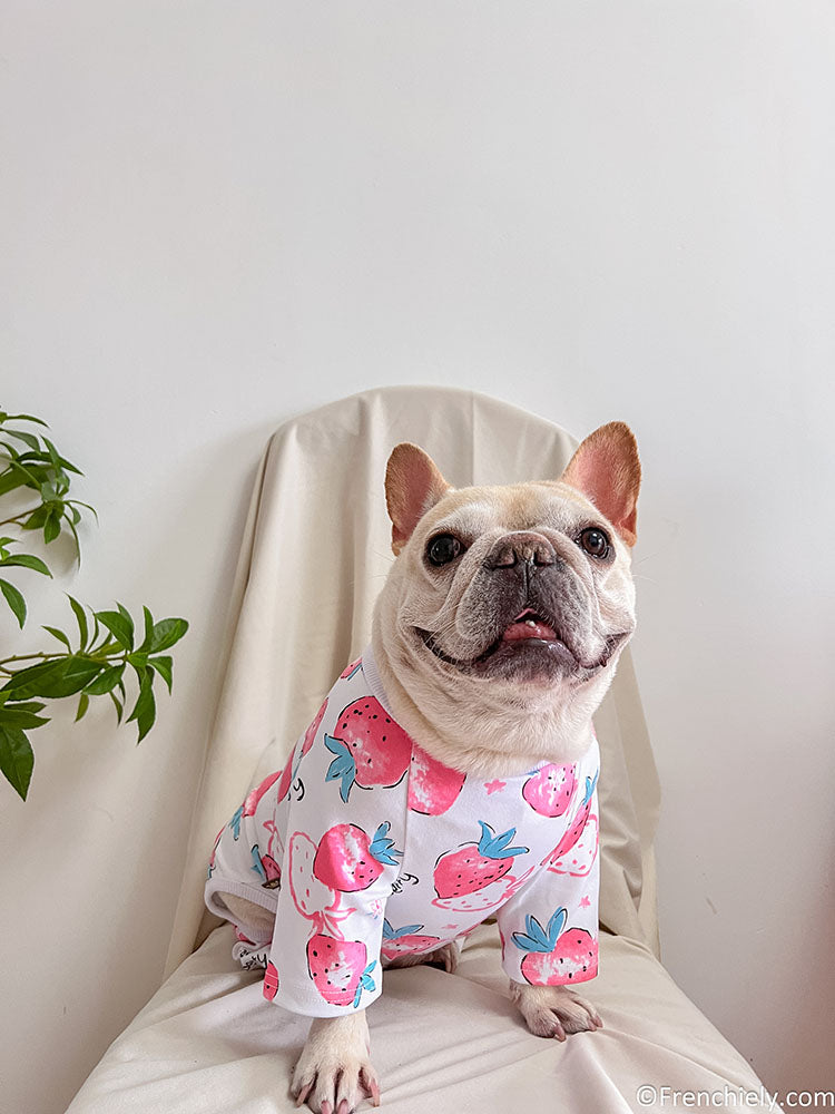 dog white strawberry onesie jumpsuit for medium dogs by frenchiely