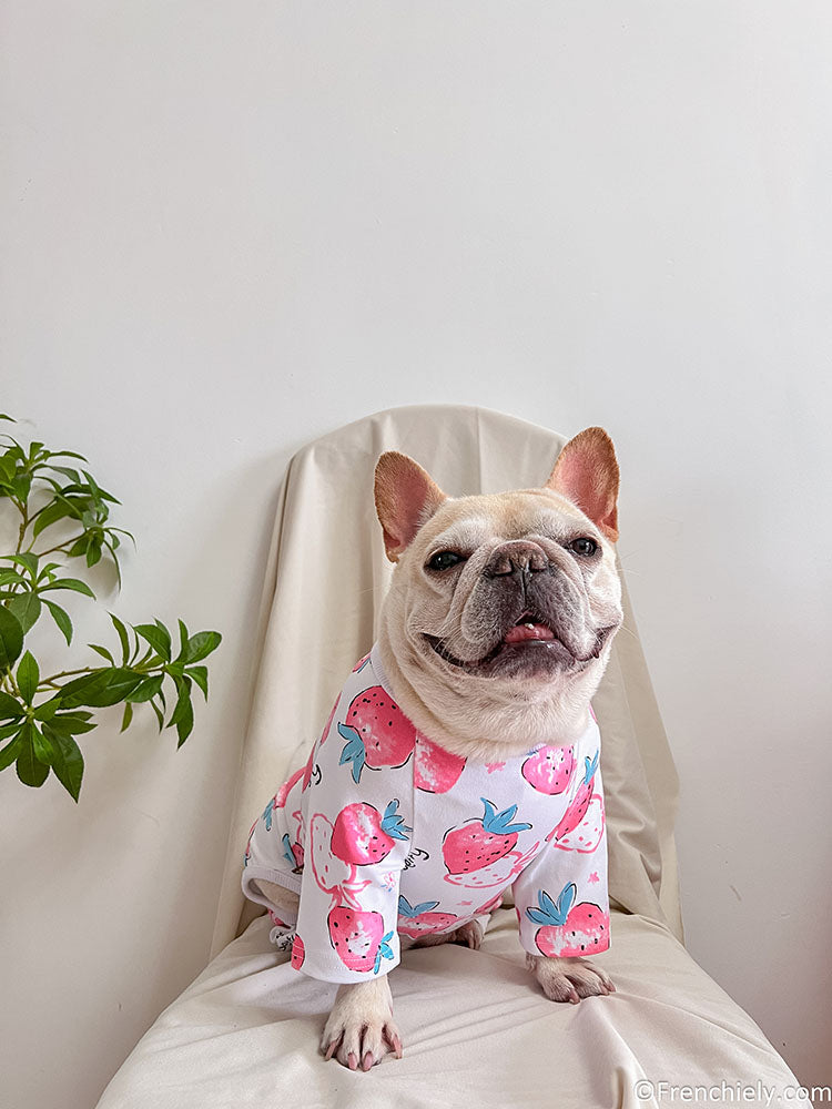 dog white strawberry onesie jumpsuit for medium dogs by frenchiely