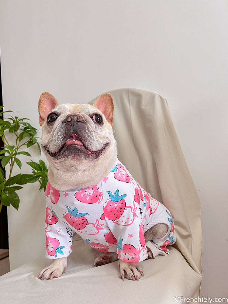dog white strawberry onesie jumpsuit for medium dogs by frenchiely