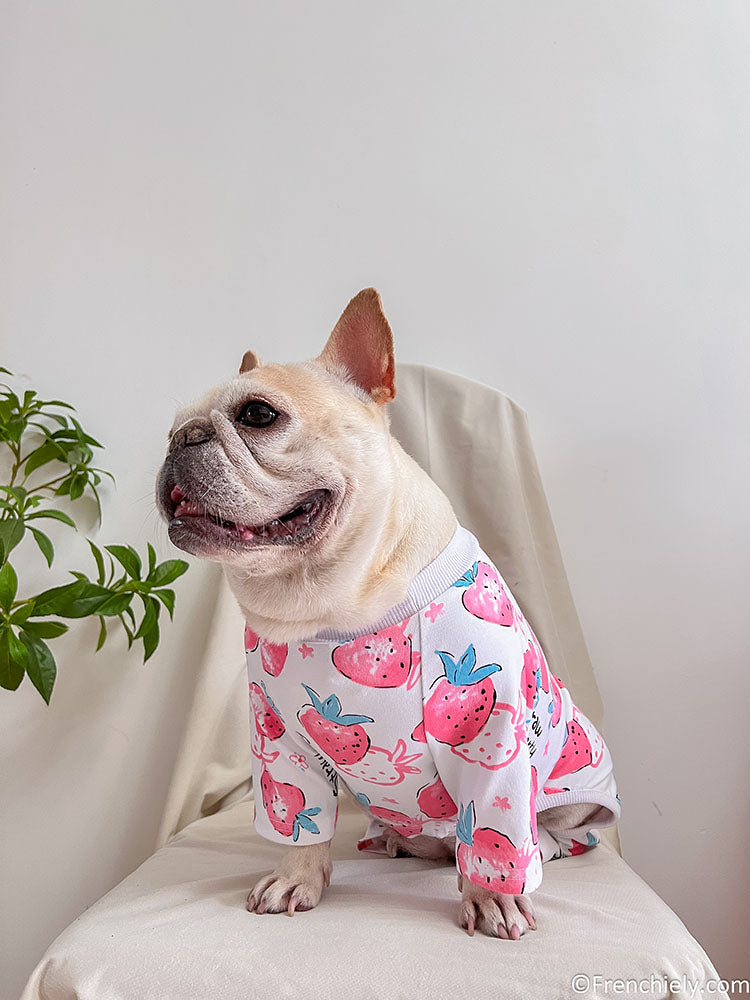 dog white strawberry onesie jumpsuit for medium dogs by frenchiely