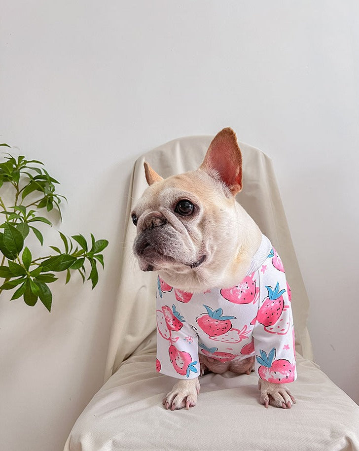 dog white strawberry onesie jumpsuit for medium dogs by frenchiely