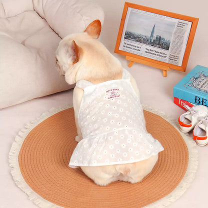 Frenchie Summer White Dress