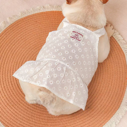 Frenchie Summer White Dress