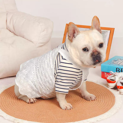 Frenchie Summer White Dress