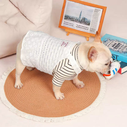 Frenchie Summer White Dress
