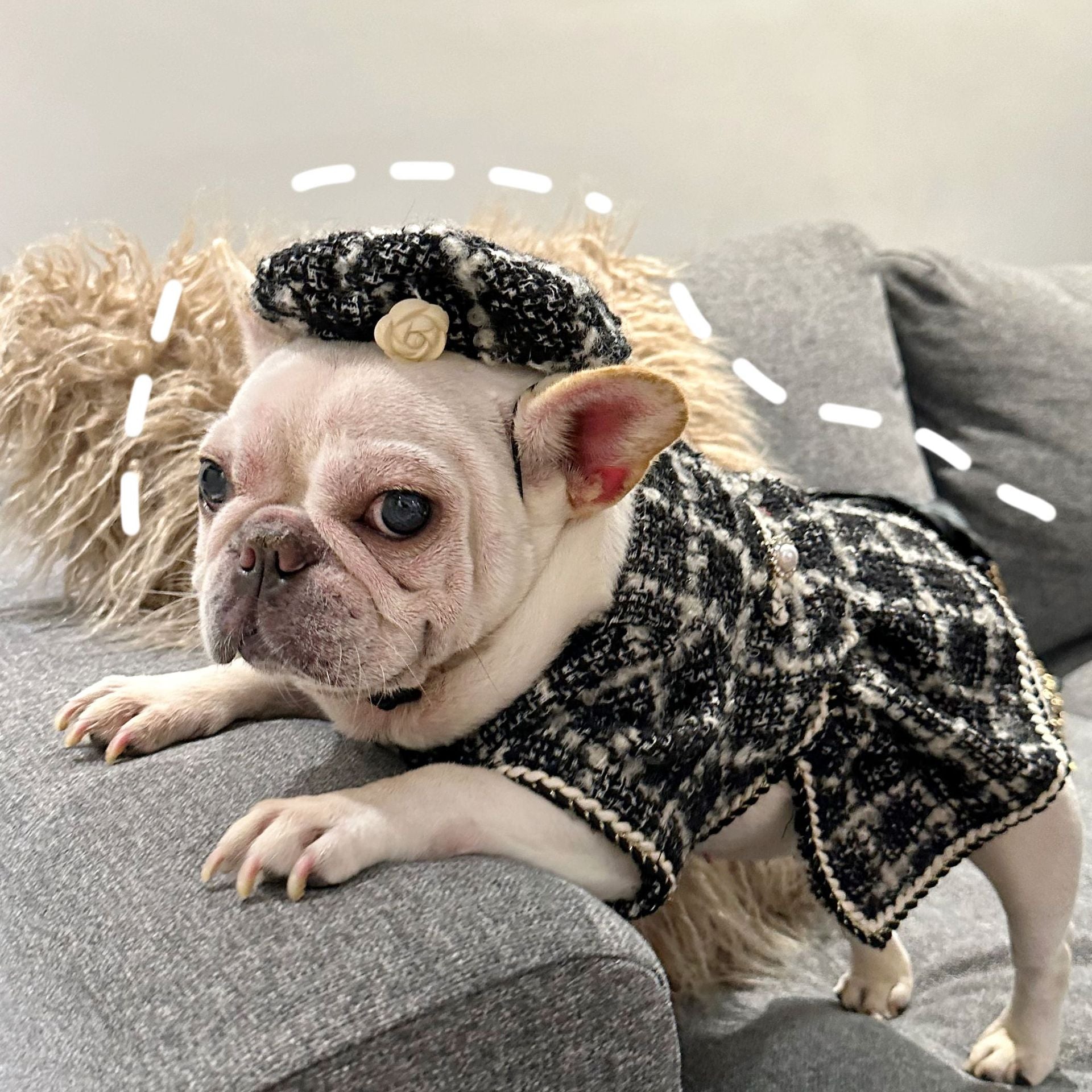 pug christmas dress On fifth day of #pugmas I am already planning my outfits for Christmas eve . . . #dogsofinstagram #dog #dogstagram #puppy #instadog #doglover #dogoftheday #doglovers #pets #doglife #puppies #dogsofinsta #puppiesofinstagram #doggo #