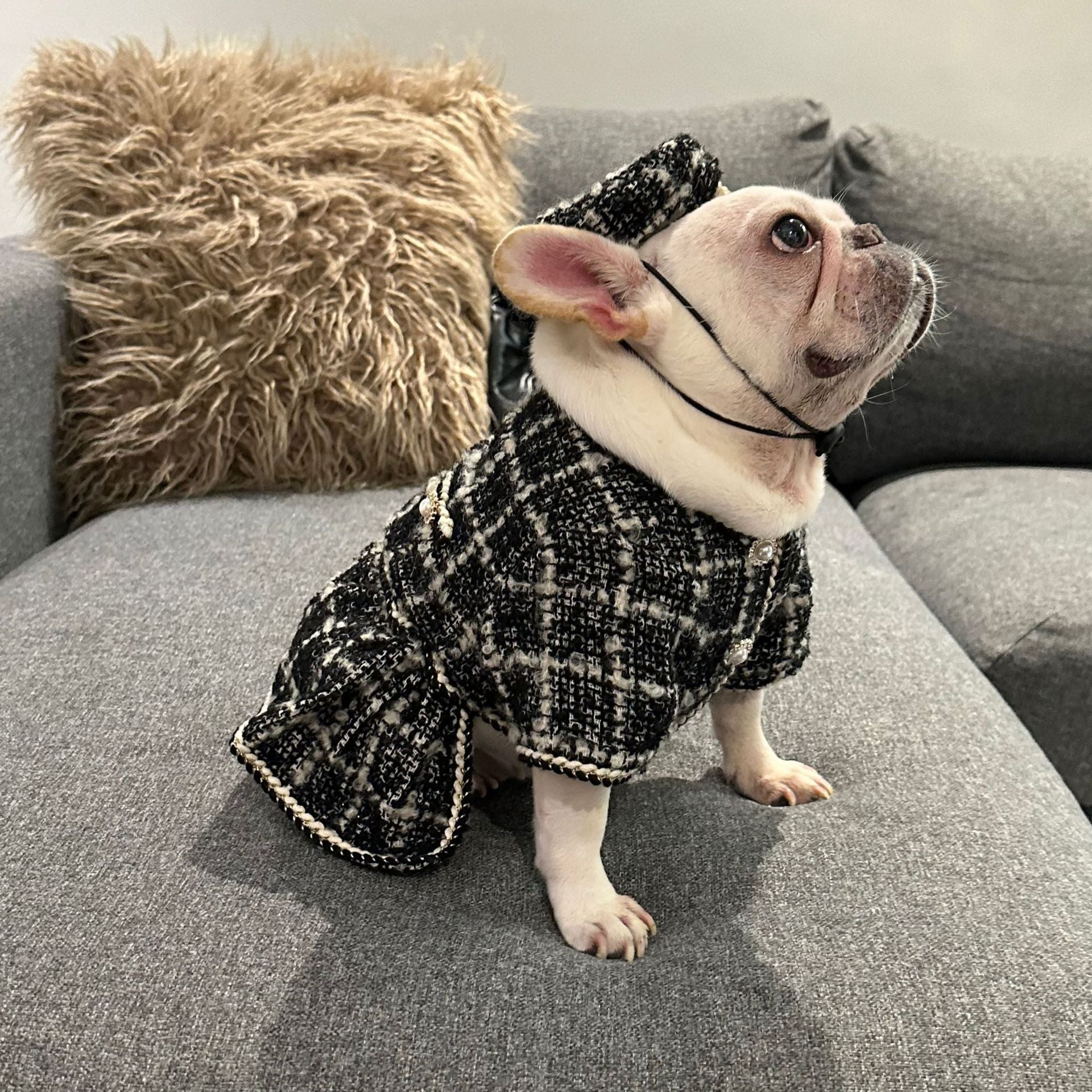 Dog black Plaid Tweed Fabric dress coat for medium dogs by Frenchiely