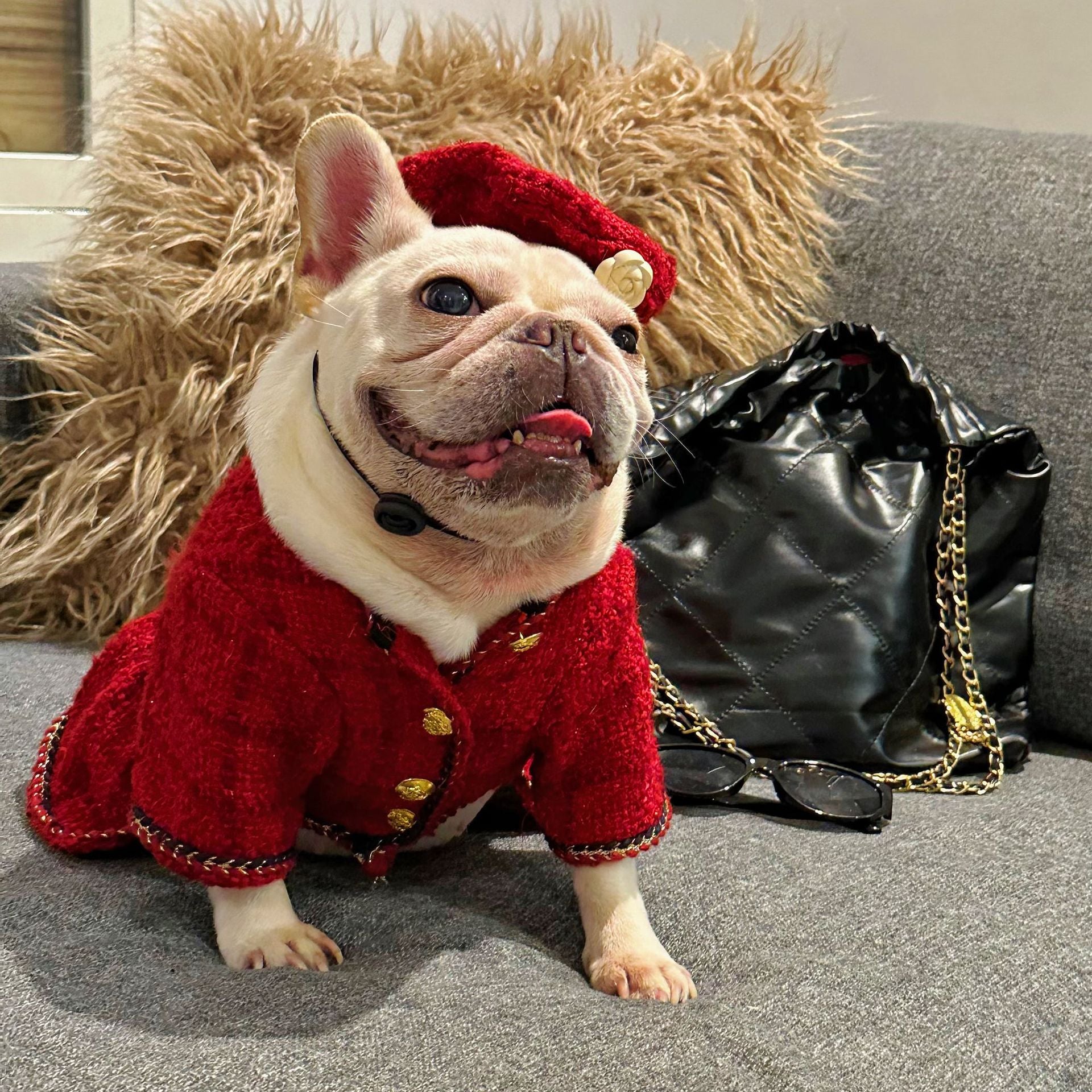 Dog Winter Luxury Dress Christmas Coat Dog Winter Luxury Dress Christmas Coat