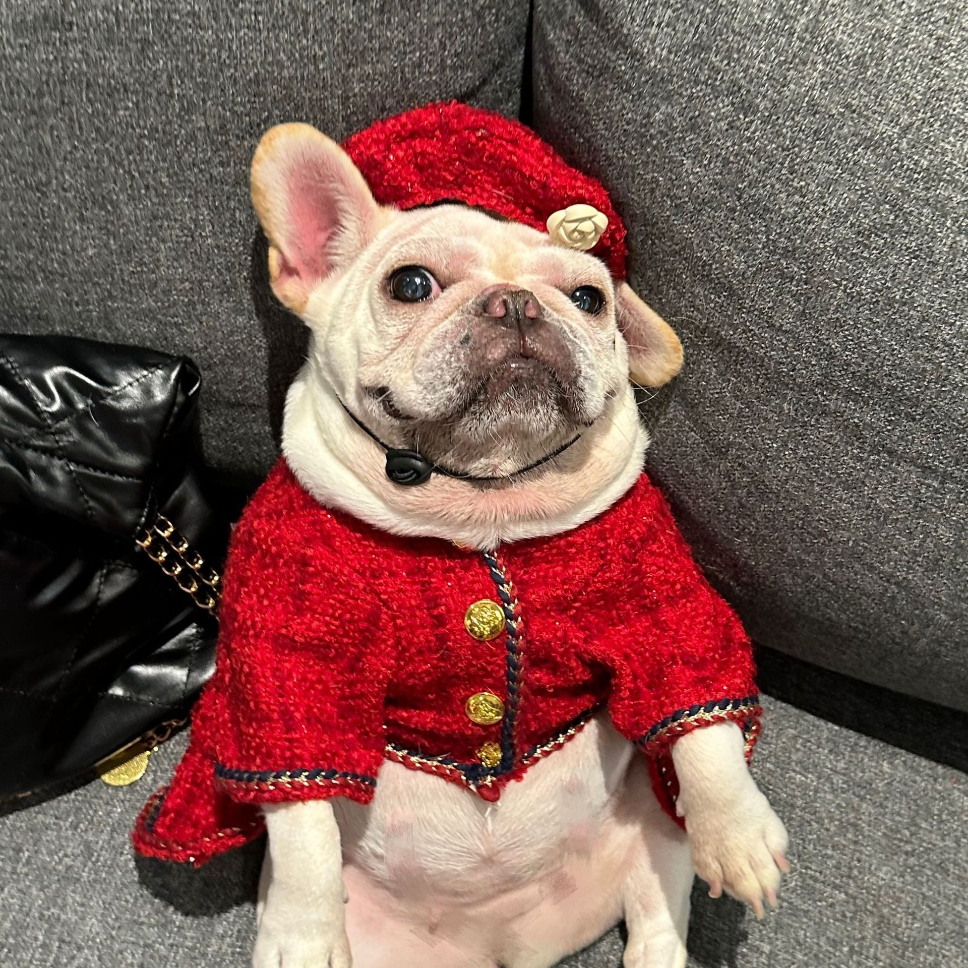 Dog Winter Luxury Dress Christmas Coat | Frenchie Clothing Shop Frenchiely Dog Winter Luxury Dress Christmas Coat | Frenchie Clothing Shop Frenchiely