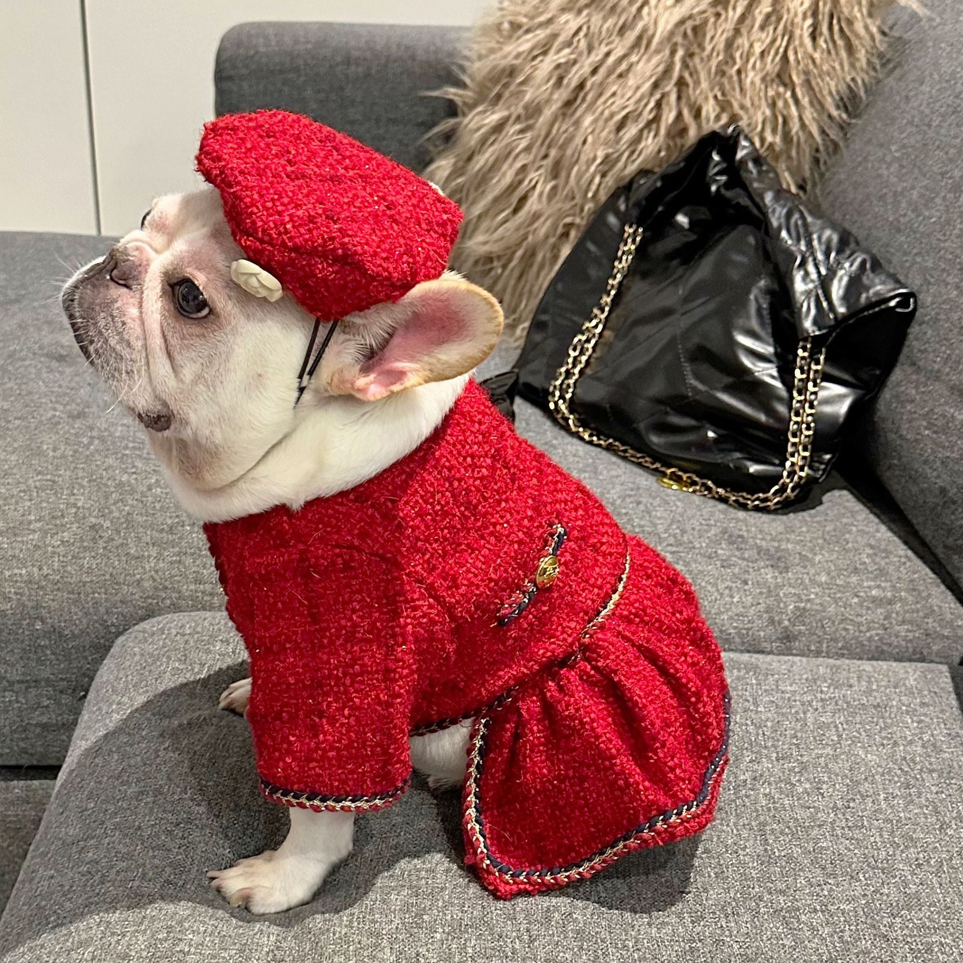 Christmas Outfit For Dogs Christmas Dog Dress Outfit - Festive Pet Skirt With Coat For Cats & Dogs, Holiday Photo Costume Dog Christmas Outfit Christmas Outfit For Dogs Christmas Dog Dress Outfit - Festive Pet Skirt With Coat For Cats & Dogs, Holiday Photo Costume Dog Christmas Outfit