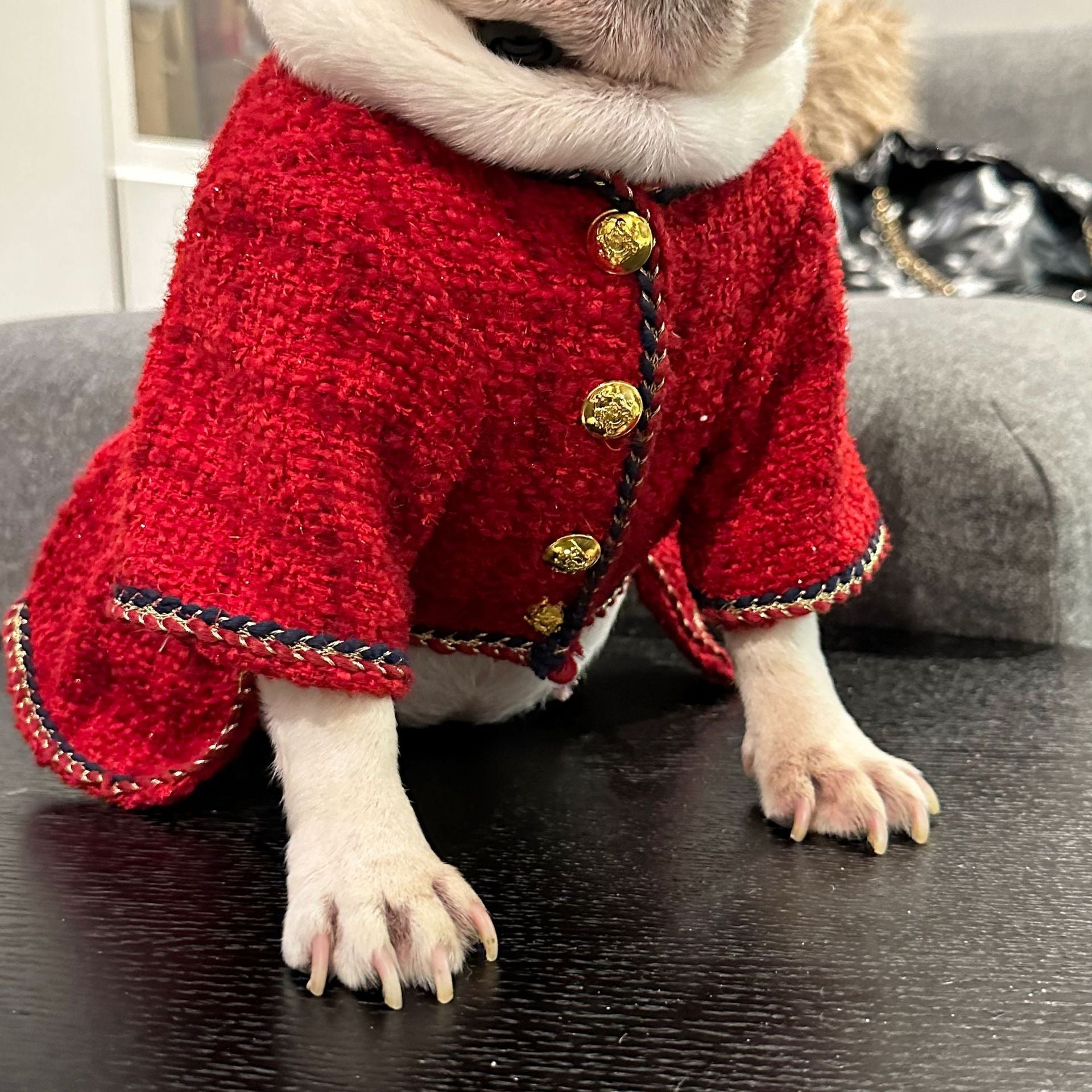Dog Winter Luxury Dress Christmas Coat