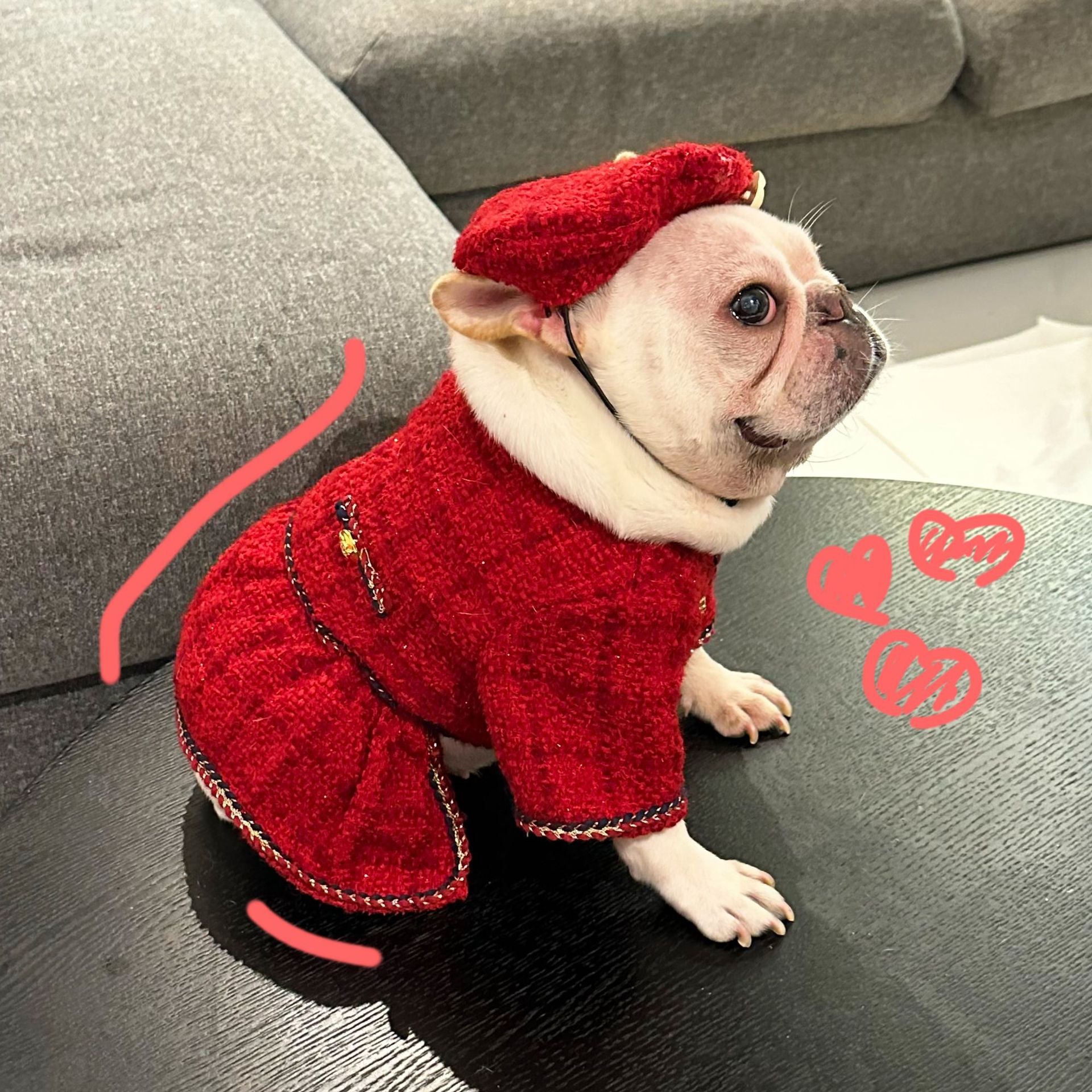Dog Winter Luxury Dress Christmas Coat