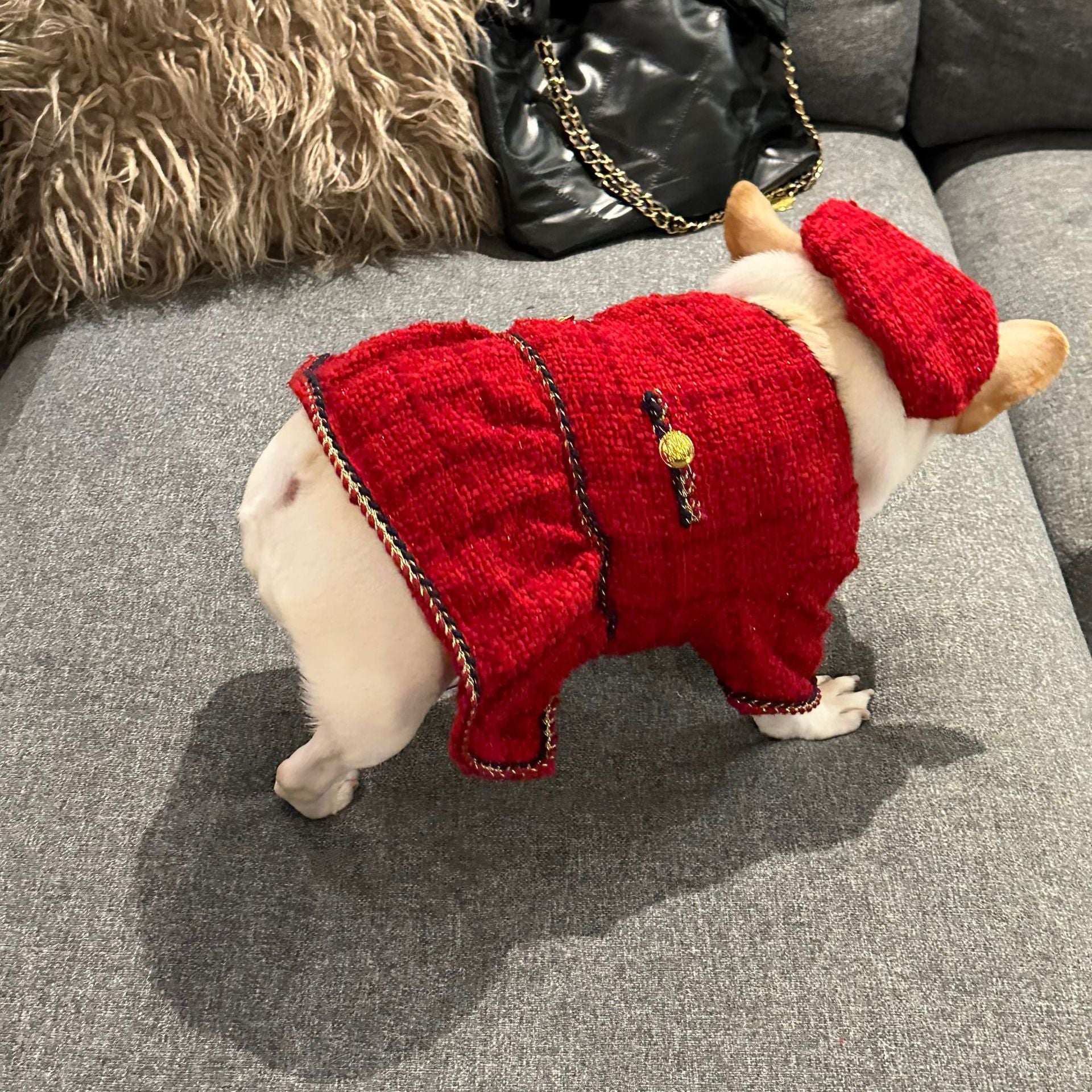 Dog Winter Luxury Dress Christmas Coat Dog Winter Luxury Dress Christmas Coat
