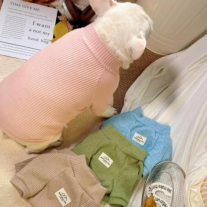 Classic Morandi Undershirt dogwinterClassicMorandiUndershirtforfrenchbulldogpugsbyFrenchiely_5