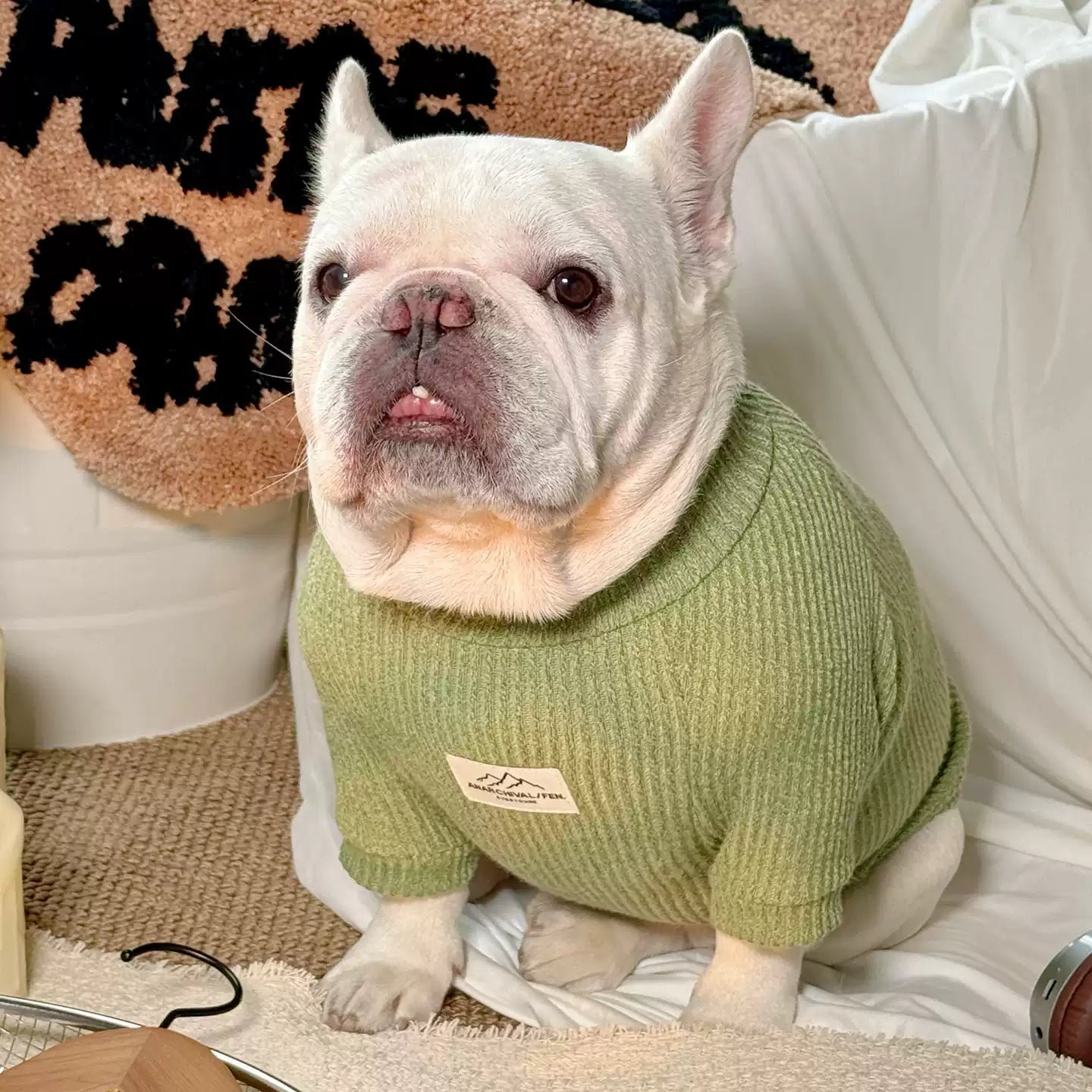 Classic Morandi Undershirt dogwinterClassicMorandiUndershirtforfrenchbulldogpugsbyFrenchiely_6