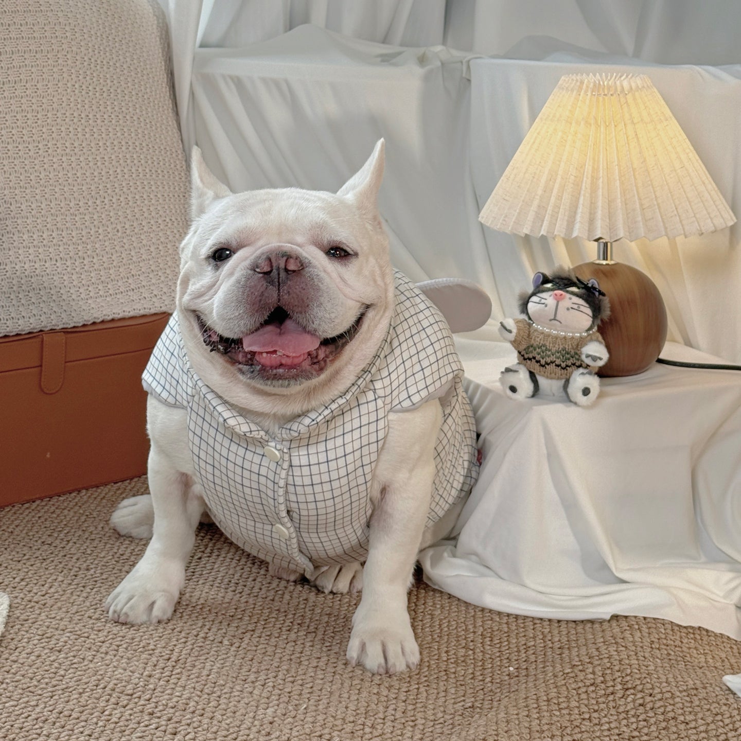 Bee Checker Pattern Costume dogwintercartoonbeecostumejacketforsmallmediumdogsbyFrenchiely_1