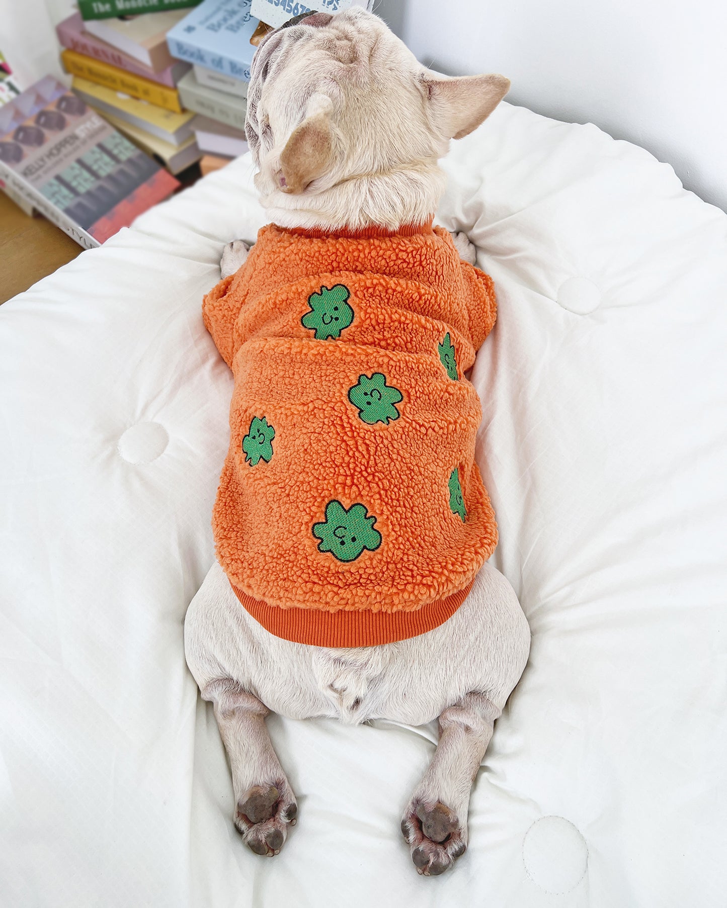Carrot Sweatshirt