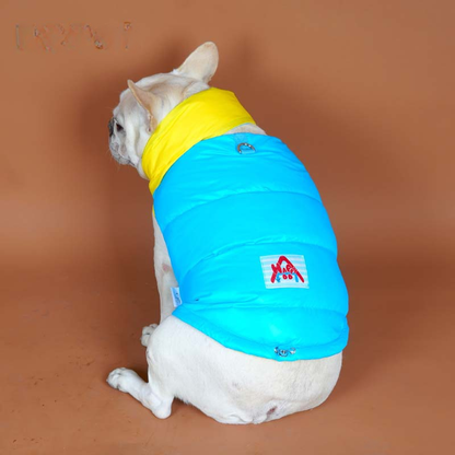 Down Vest with Scarf- D Ring dogwinterwarmwaterproofdownvestcoatforfrenchbulldogs_2