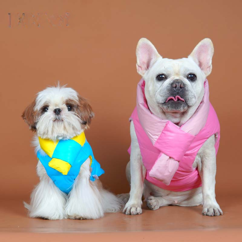 Down Vest with Scarf- D Ring dogwinterwarmwaterproofdownvestcoatforfrenchbulldogs_4