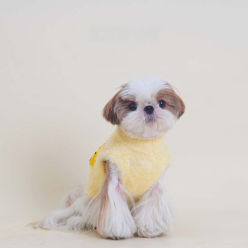 banana sweater dogwinterwarmyellowbananasweaterbyFrenchiely_6_4313288f-c93a-45df-9aac-93adc25b4c5f