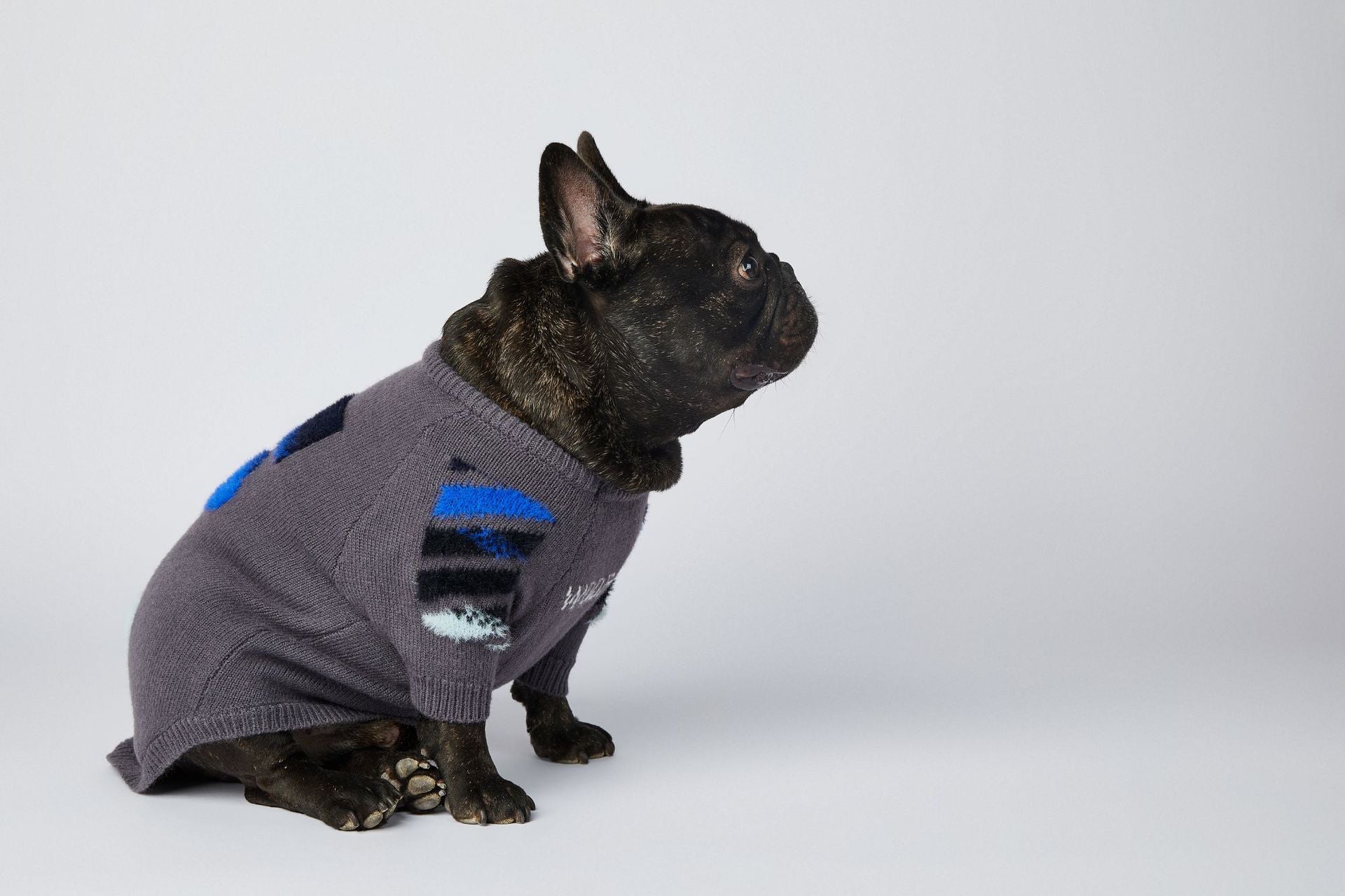 Dog Grey Woof Jumper - Frenchiely