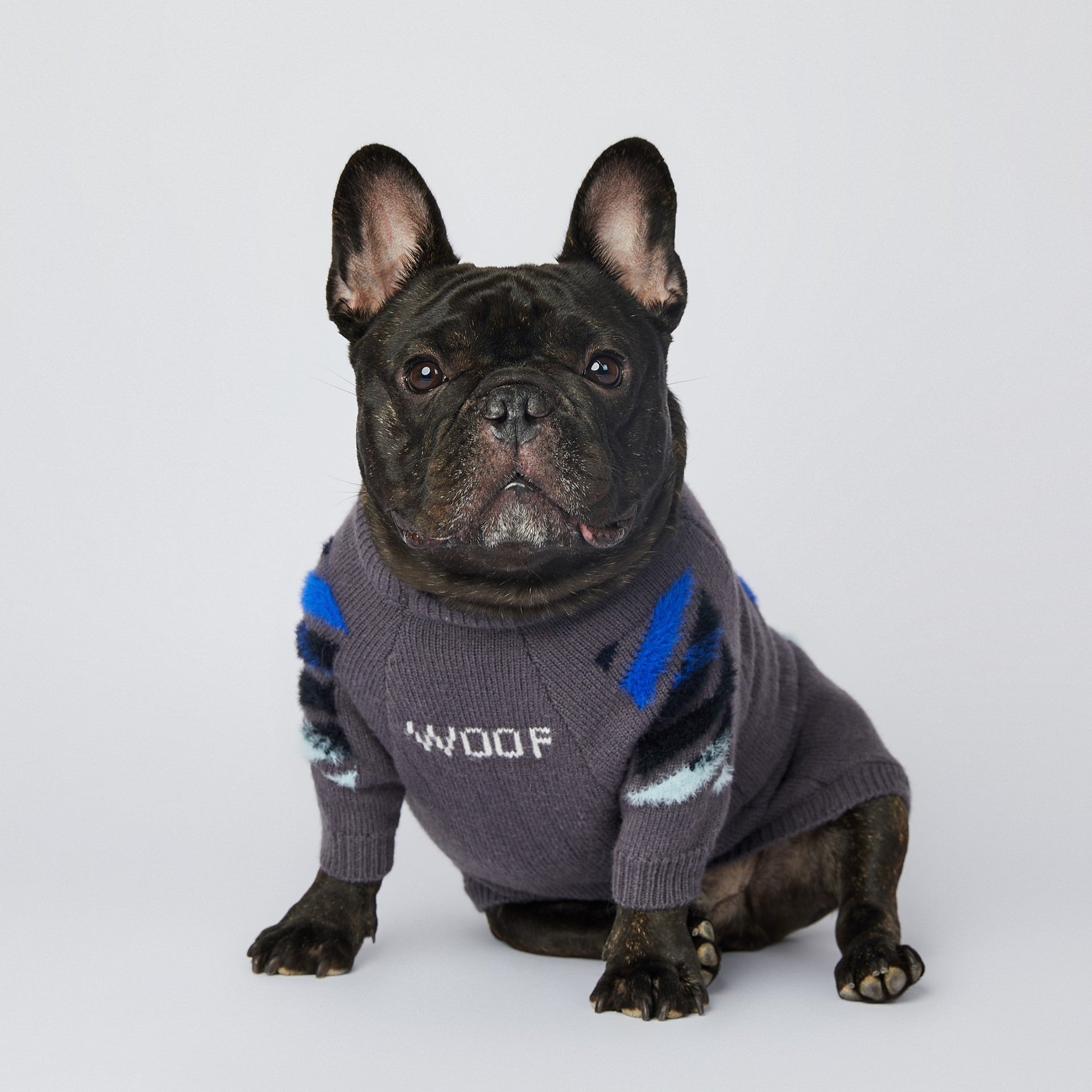 Dog Grey Woof Jumper - Frenchiely